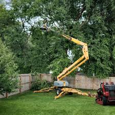 Best Tree Trimming and Pruning  in East Providence, RI
