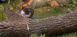 Mulching Services in East Providence, RI
