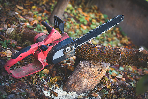 Best Firewood Processing and Delivery  in East Providence, RI